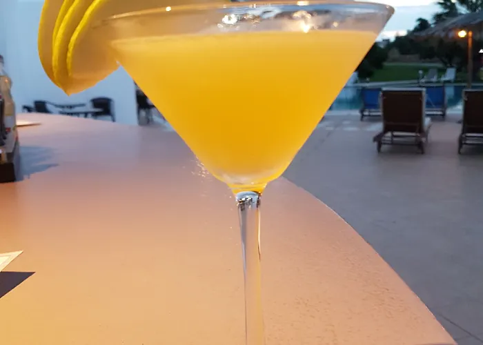 纳克索斯皇宫酒店 酒店 斯泰里达