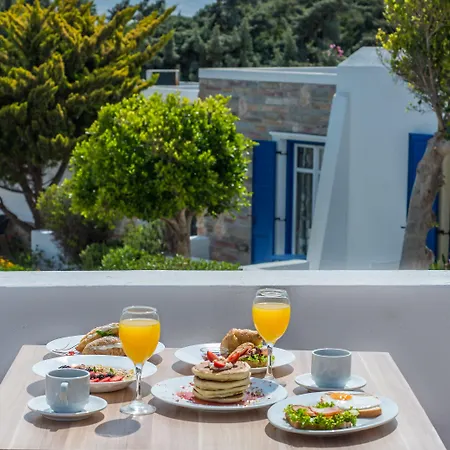 Otel Naxos Palace 4*
