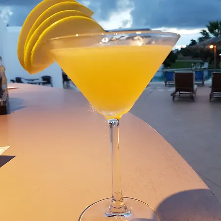 Naxos Palace فندق ستيليدا