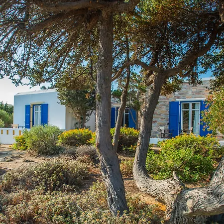 Naxos Palace Stelida (Naxos)