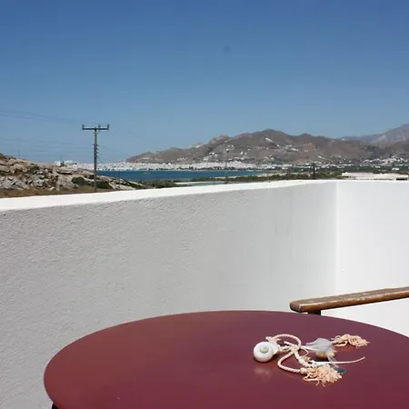 Naxos Palace 4* Στελίδα