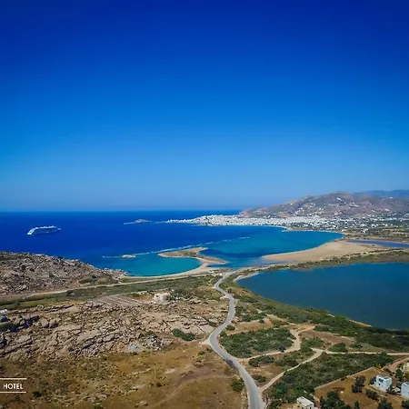Отель Naxos Palace 4*
