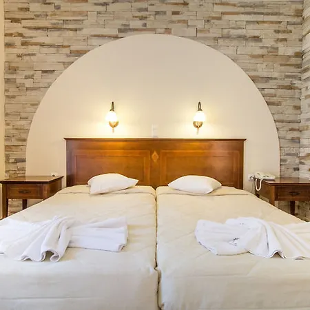 Отель Naxos Palace