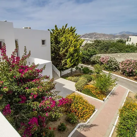 Naxos Palace Отель