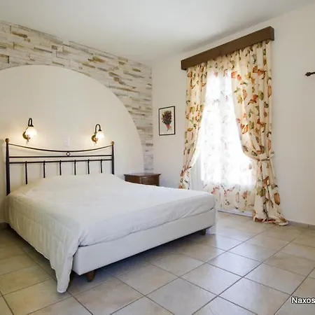 Naxos Palace Отель
