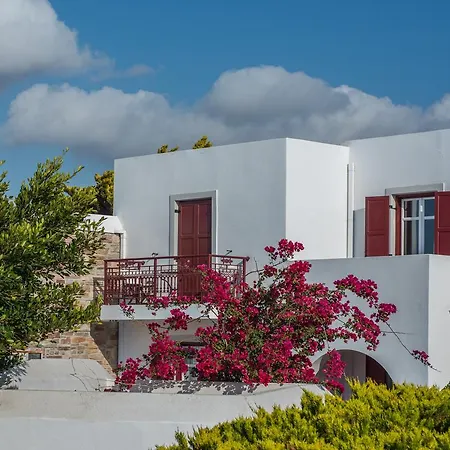 Отель Naxos Palace