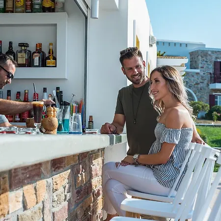 Naxos Palace Отель Стелида