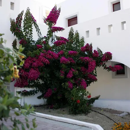 Naxos Palace Hotel 4*