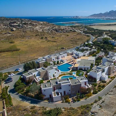 Отель Naxos Palace 4*
