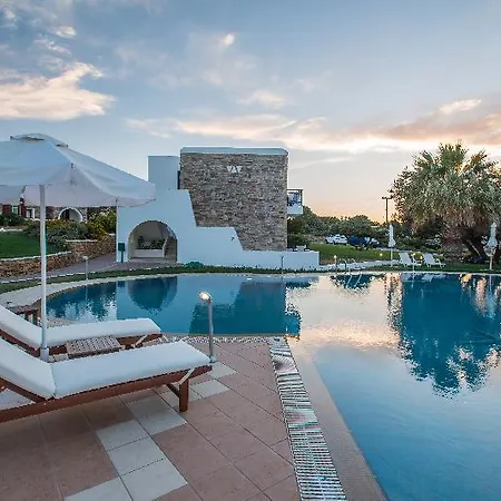 Отель Naxos Palace