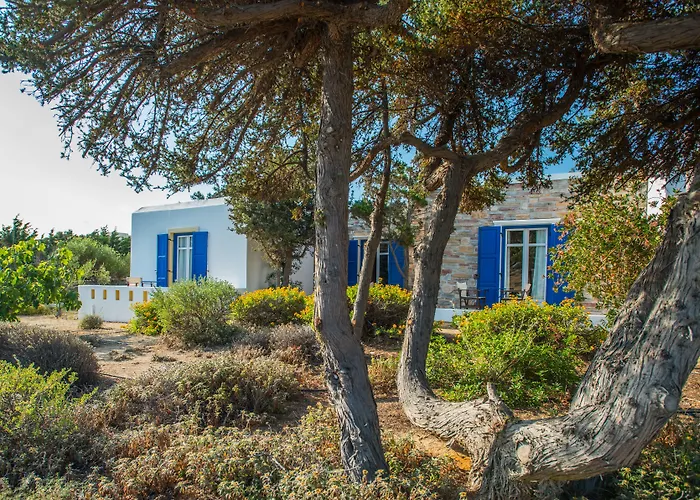 Naxos Palace סטלידה