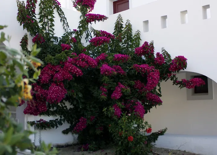 Naxos Palace Hotel Stelida (Naxos)