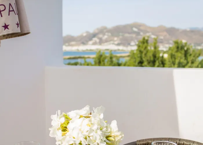 Naxos Palace 4* סטלידה