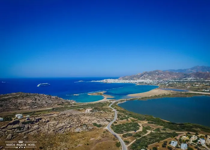 Otel Naxos Palace 4*