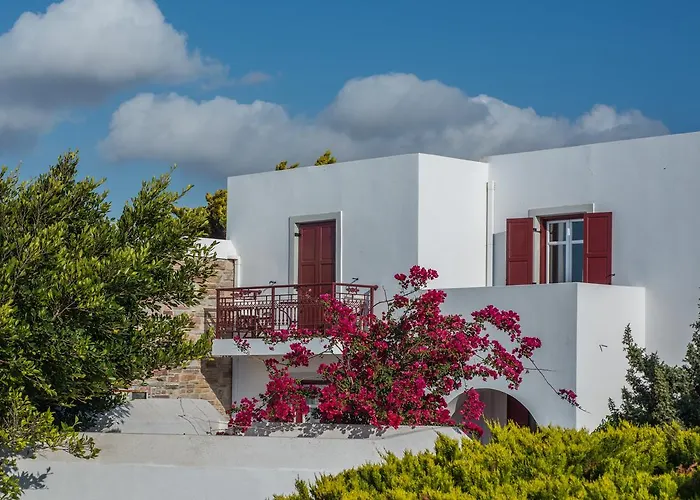 Otel Naxos Palace